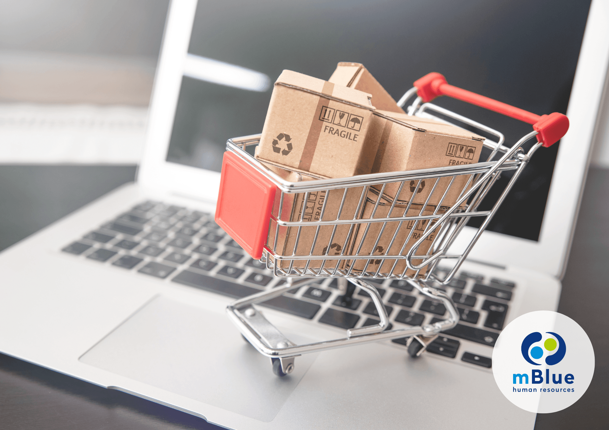 E-Commerce Specialist / Manager – European Market Launch